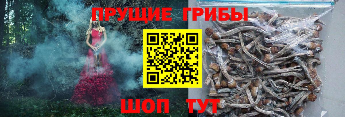 Петрозаводск  Галлюциногенные грибы MAGIC MUSHROOMS  Вход с VPN  Псилоцибиновые грибы ЛСД 